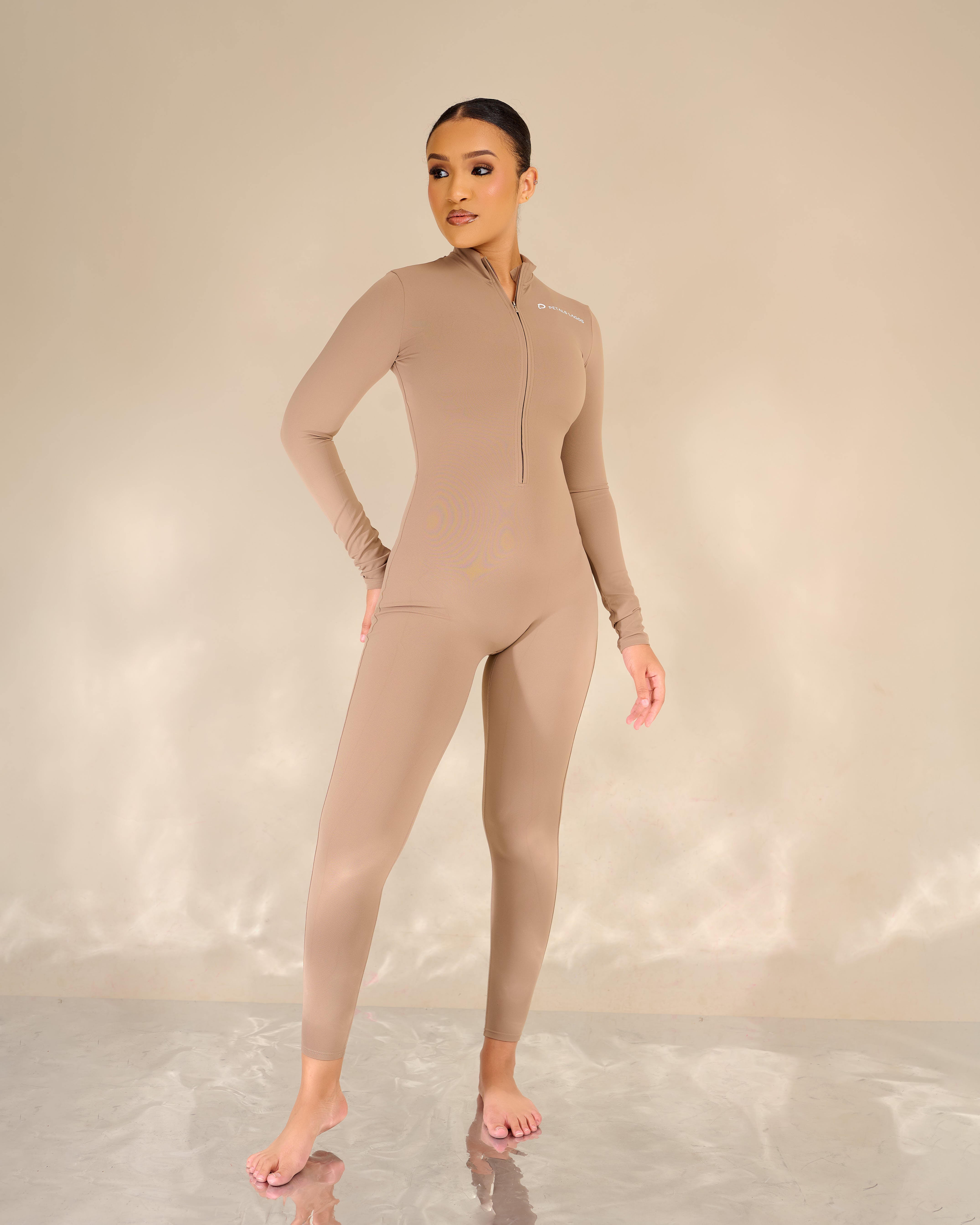 Analie Silhouette Long-sleeve Zip Up Jumpsuit