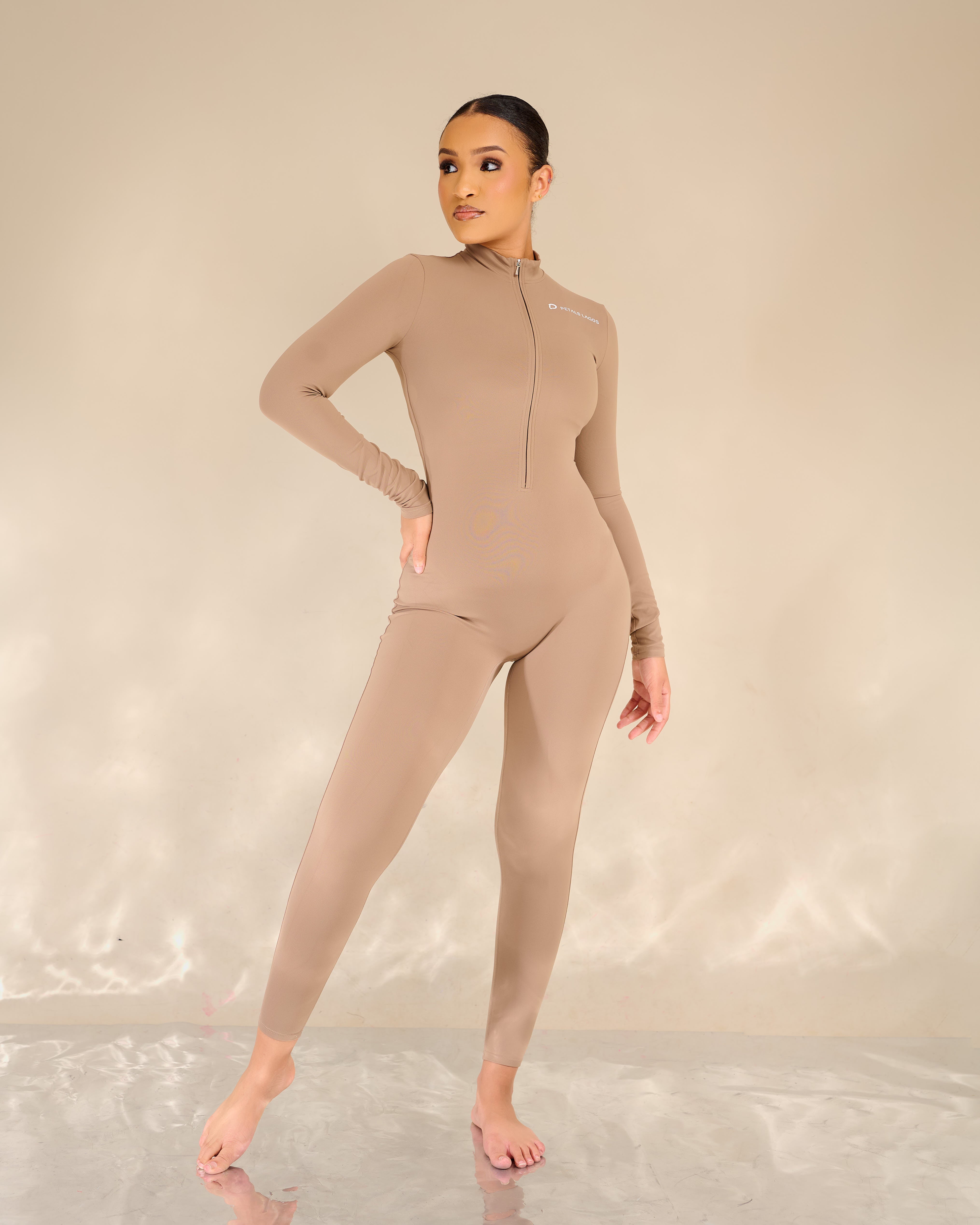 Analie Silhouette Long-sleeve Zip Up Jumpsuit