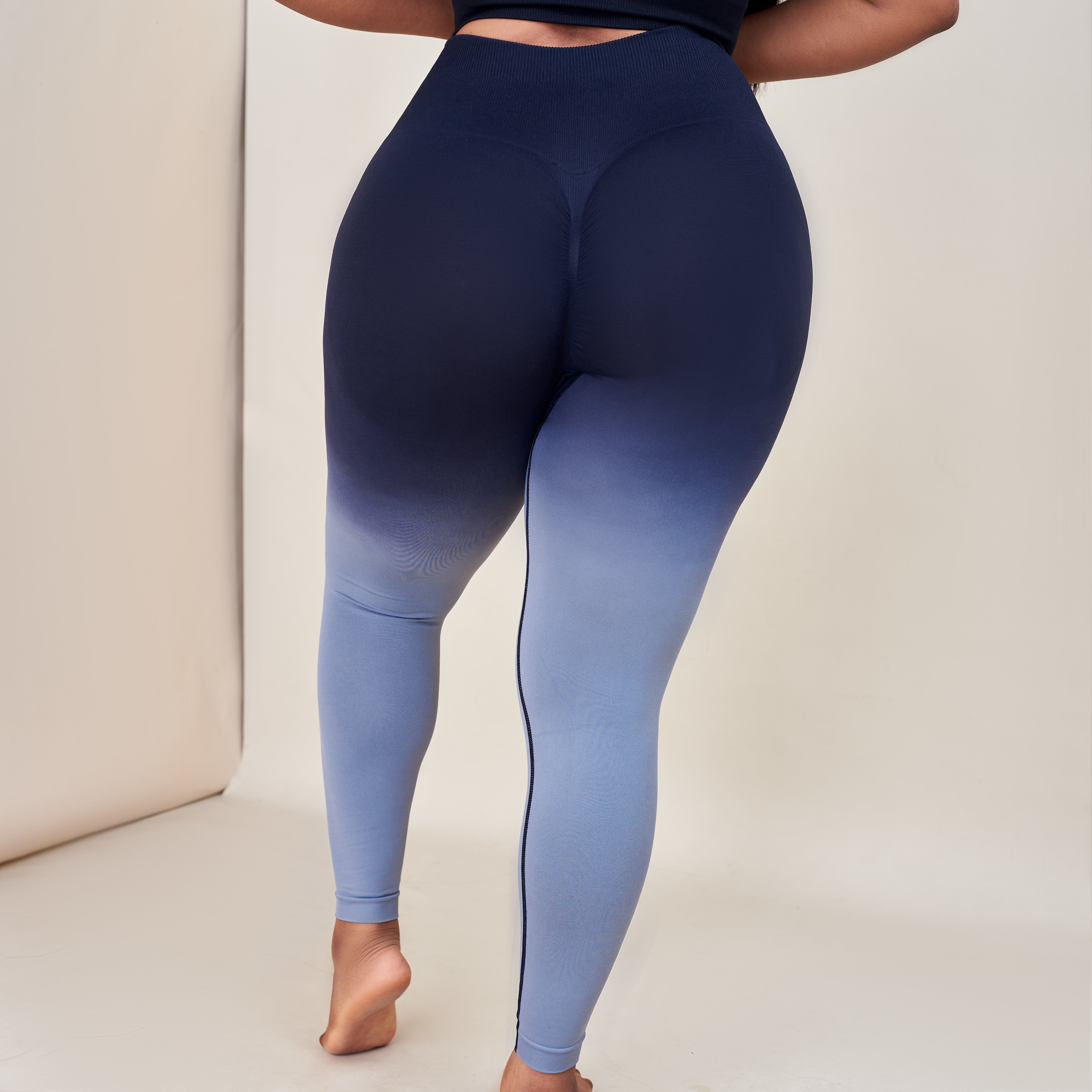 Ada Ombré Contour Leggings